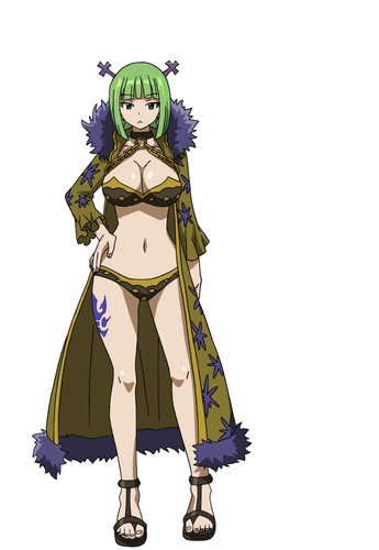 TV版动画《妖精的尾巴 最终季》新声优公布 资讯 第3张