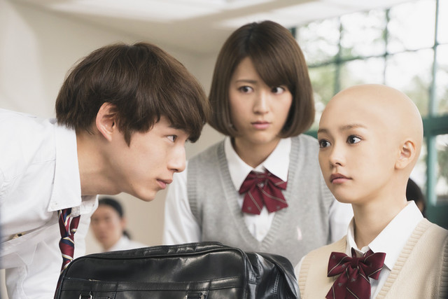 真人电影《女主角失格》剧照曝光 桐谷美玲现光头扮相 资讯 第1张 真人电影《女主角失格》剧照曝光 桐谷美玲现光头扮相 资讯 第1张