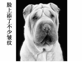 动画周更插播番外篇,跳票预警吗? 资讯 第5张 动画周更插播番外篇,跳票预警吗? 资讯 第5张