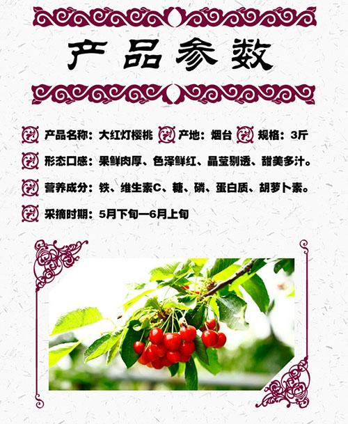 “碧海樱樱”烟台大樱桃开启预售!碧海祭5.0首波情报公开! 业内 第2张 “碧海樱樱”烟台大樱桃开启预售!碧海祭5.0首波情报公开! 业内 第2张
