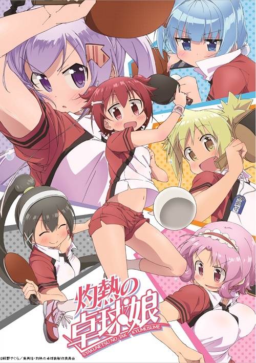 动画《灼热的乒乓球女孩》主要声优公布 资讯 动画《灼热的乒乓球女孩》主要声优公布 资讯