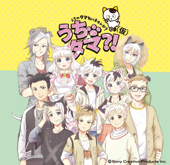动物拟人化新作,《猫狗宠物街》新动画启动 资讯 第1张 动物拟人化新作,《猫狗宠物街》新动画启动 资讯 第1张