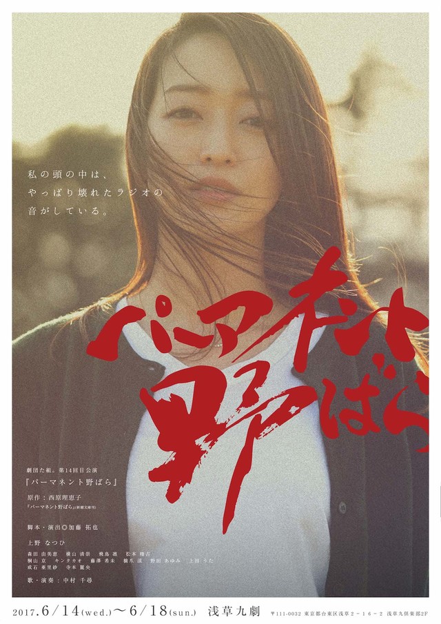 西原理惠子《常开野蔷薇》舞台剧主视觉图公开 资讯 第1张 西原理惠子《常开野蔷薇》舞台剧主视觉图公开 资讯 第1张