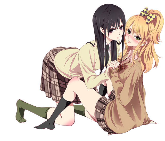 纯情辣妹X黑发碧池，竹达彩奈、津田美波将主役动画《citrus~柑橘味香气~》 资讯 第1张
