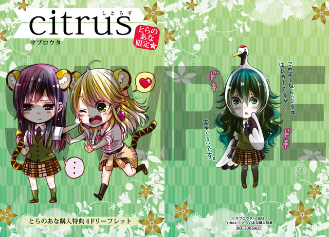 纯情辣妹X黑发碧池，竹达彩奈、津田美波将主役动画《citrus~柑橘味香气~》 资讯 第7张