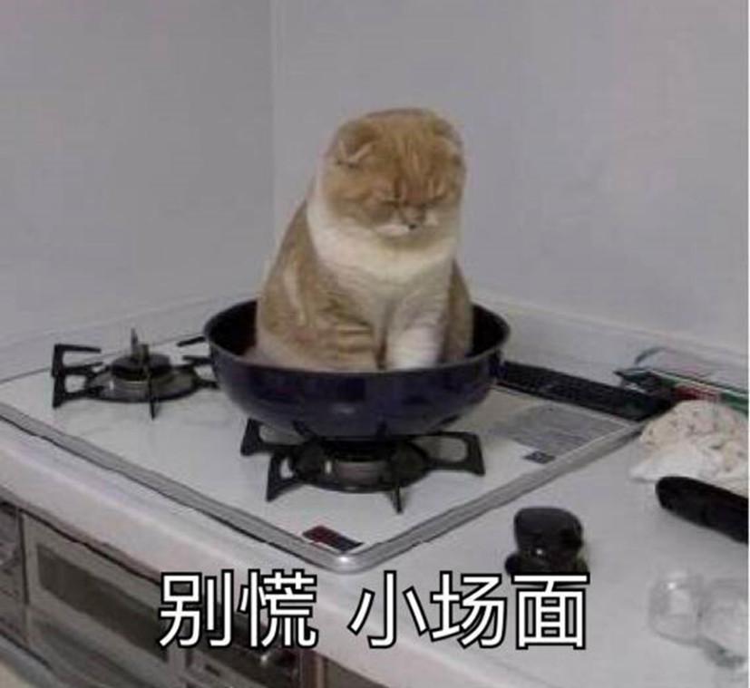 来了！中国国际动漫节邀你做真正的“头号玩家”！ 漫展 第6张
