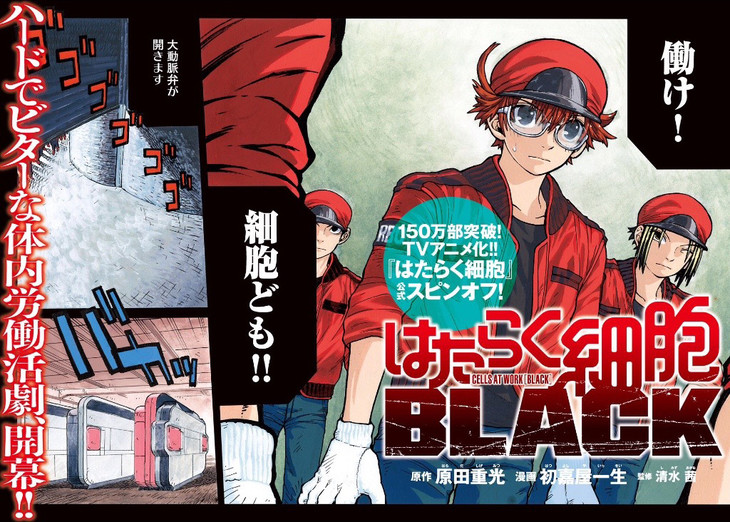《工作细胞BLACK》讲谈社《morning》杂志开始连载