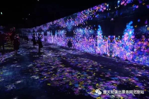 “teamLab未来游乐园”特别预览日VIP招募活动 资讯 第5张