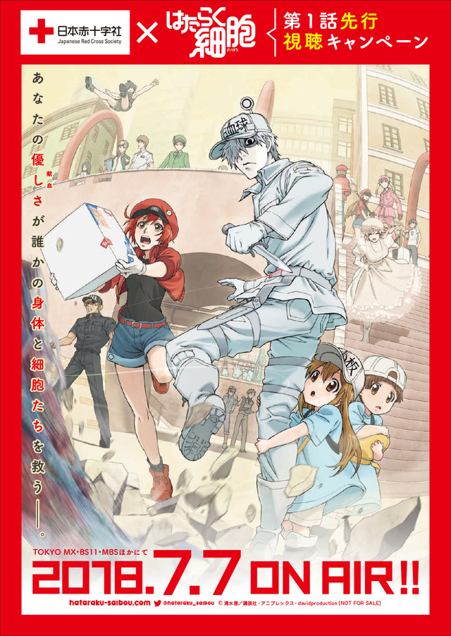 《工作细胞》 X 日本红十字会：献血可以提前一周看动画 资讯 第2张