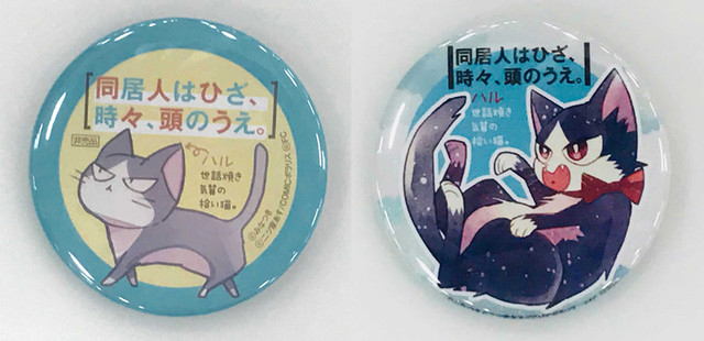 铲屎官必看《同居人时而在腿上、时而跑到脑袋上。》动画化 资讯 第4张