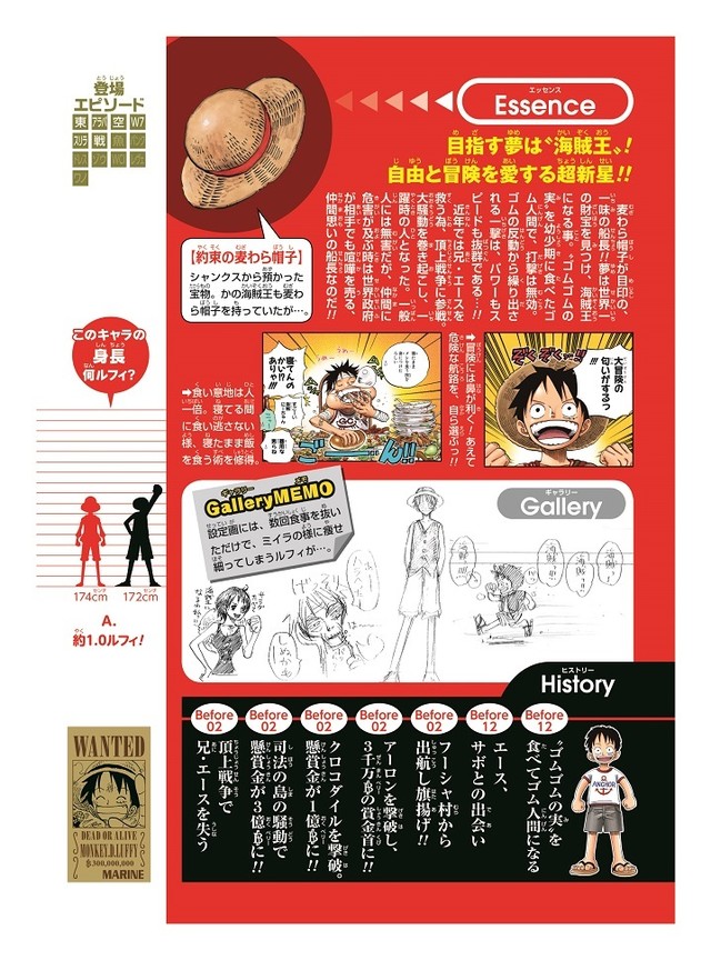 制作“只属于自己的海贼王图鉴” 活页夹式官方资料集发售 资讯 第4张