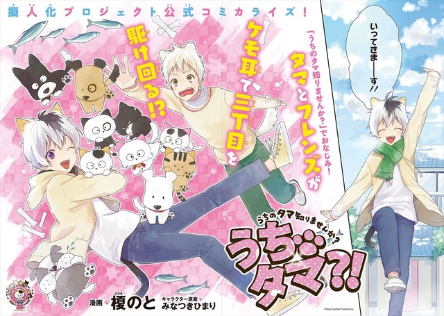 日本人气文具品牌”Tama & Friends”兽耳拟人化 资讯 第2张