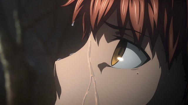 剧场版《Fate/stay night [Heaven's Feel]》最终章2020年春上映 副标题「III.spring song」 资讯 第2张