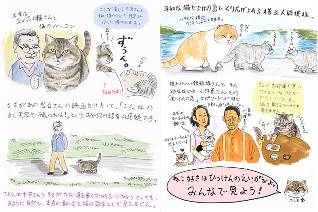 9位漫画家寄稿治愈电影《猫咪与爷爷》 资讯 第5张