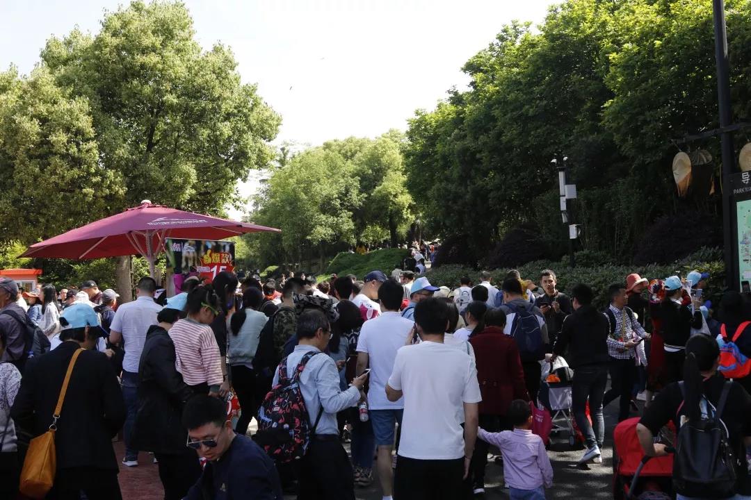 分会场 | 杭州野生动物世界因动漫游客量创新高 漫展 第4张