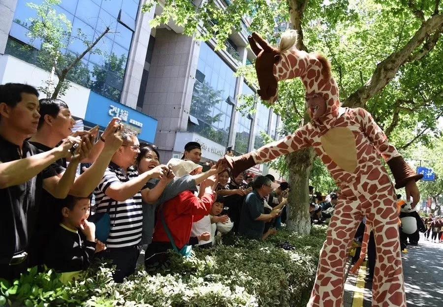 全民狂欢 | 白娘子、小猪佩奇、大师兄…你喜爱的角色，今天都现身了！ 漫展 第19张