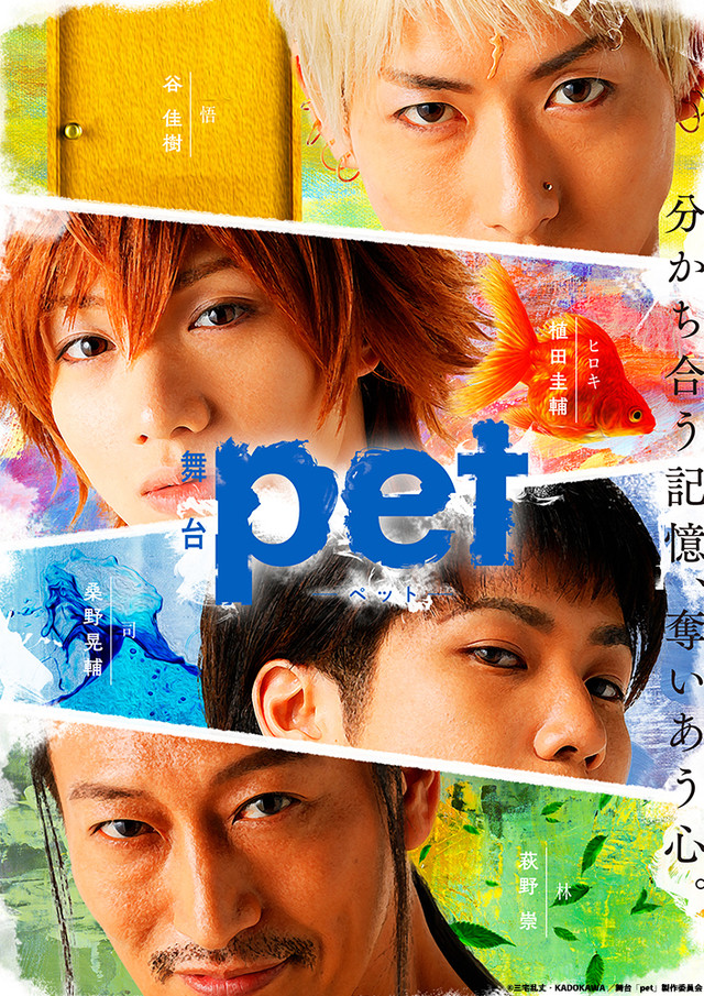 舞台剧《pet》续篇视觉图公开 资讯 第5张