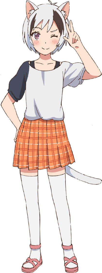 齐藤壮马、小野贤章加盟TV动画《猫狗宠物街》 资讯 第5张