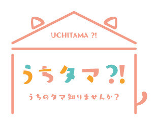 齐藤壮马、小野贤章加盟TV动画《猫狗宠物街》 资讯 第12张