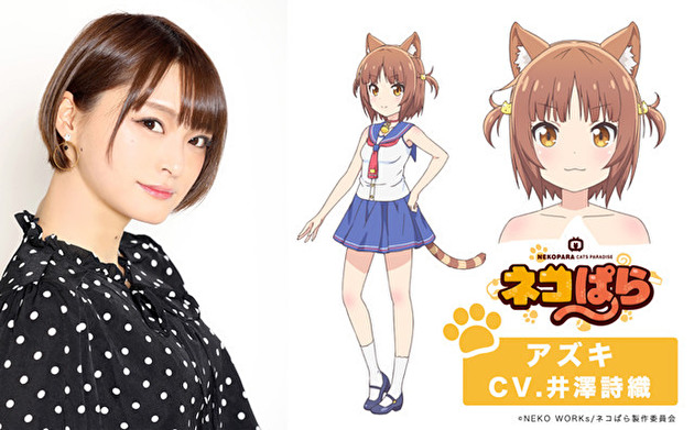 动画《猫娘乐园》公开主视觉图及特报影片等情报 资讯 第2张
