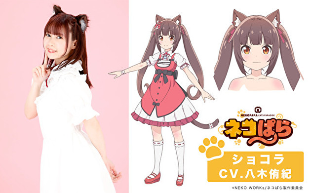 动画《猫娘乐园》公开主视觉图及特报影片等情报 资讯 第4张