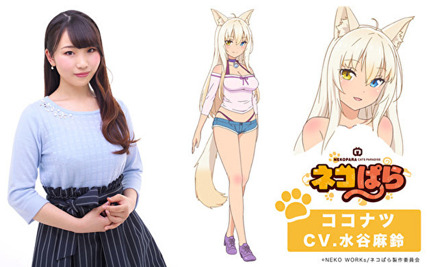 动画《猫娘乐园》公开主视觉图及特报影片等情报 资讯 第3张