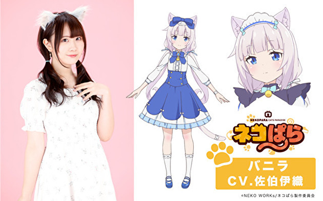 动画《猫娘乐园》公开主视觉图及特报影片等情报 资讯 第7张