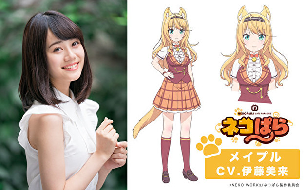 动画《猫娘乐园》公开主视觉图及特报影片等情报 资讯 第9张