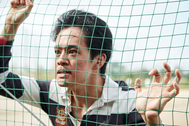 漫改真人《从宫本到你》 池松壮亮&苍井优剧照公开 资讯 第6张