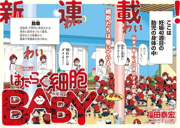 衍生作品《工作细胞 BABY》即将展开连载 资讯 第1张