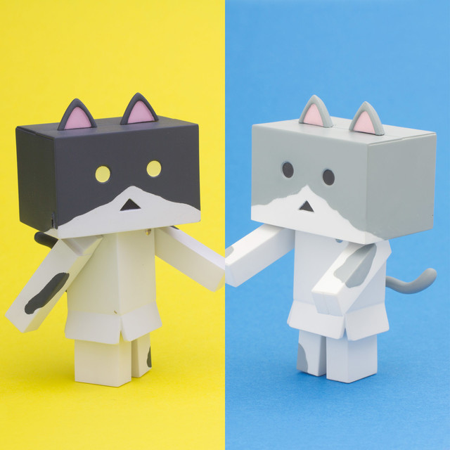“阿楞”新品种 “猫咪机器人”萌翻了~ 资讯 第6张
