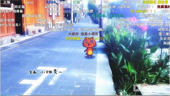 想看真爱？除了《小王子》，还有一只无论如何都想加入生肖的喵！