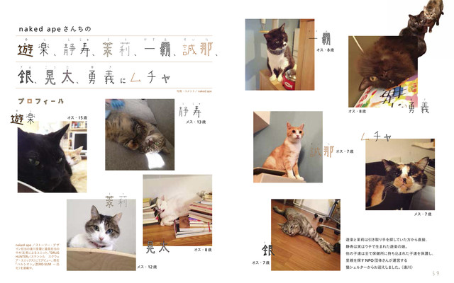 漫画家都是猫奴 《漫画家的猫》写真集出版 资讯 第7张