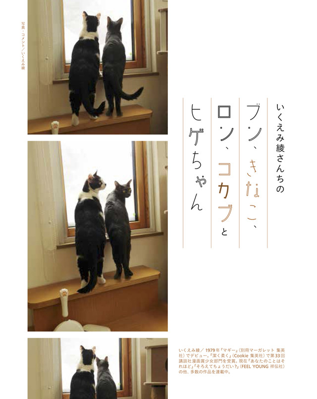 漫画家都是猫奴 《漫画家的猫》写真集出版 资讯 第2张