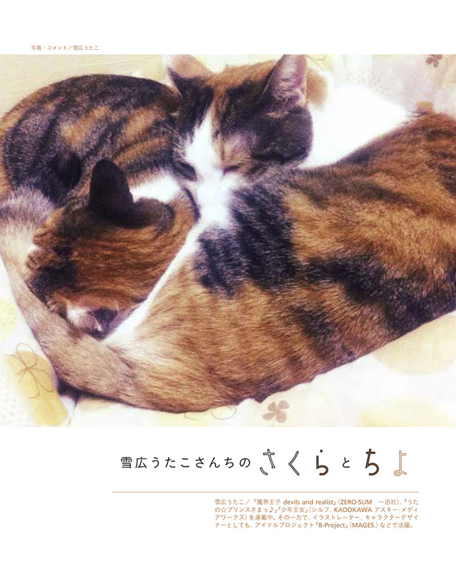漫画家都是猫奴 《漫画家的猫》写真集出版 资讯 第8张
