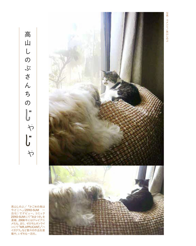 漫画家都是猫奴 《漫画家的猫》写真集出版 资讯 第4张