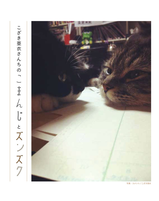 漫画家都是猫奴 《漫画家的猫》写真集出版 资讯 第3张