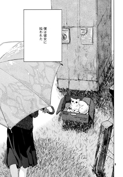新海诚出道作《她与她的猫》将展开改编漫画连载 资讯 第2张