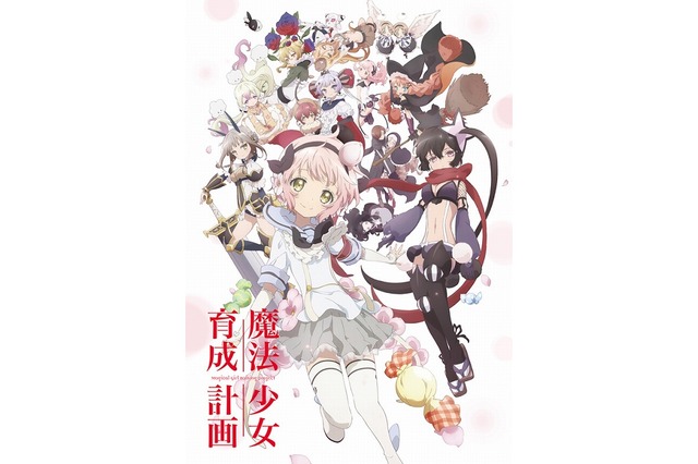 动画《魔法少女育成计划》公开第二批声优名单 佐仓綾音等人参演