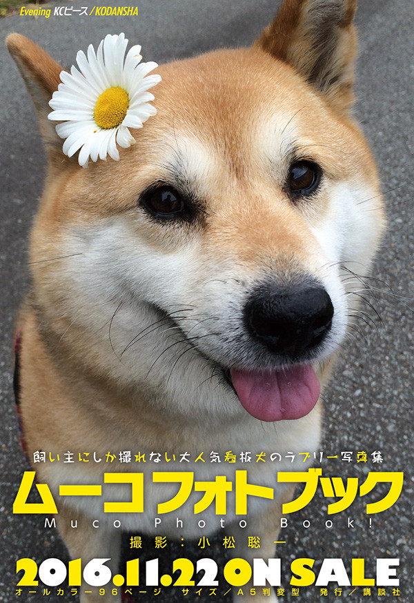 《Lovely Muco》原型看板狗狗首本写真发售 资讯 第1张
