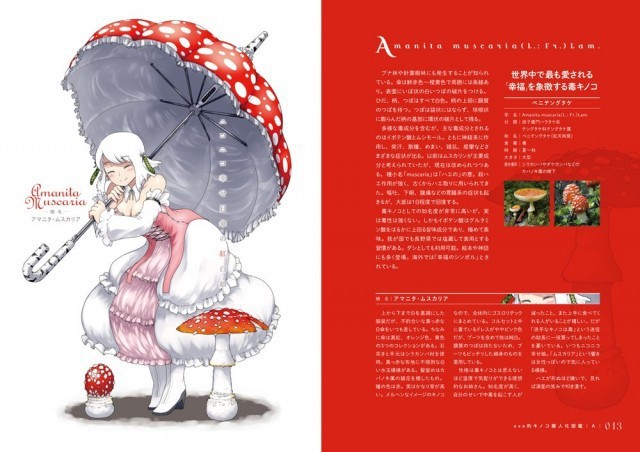 蘑菇拟人计划“蘑菇娘”将推出3DCG动画 资讯 第5张