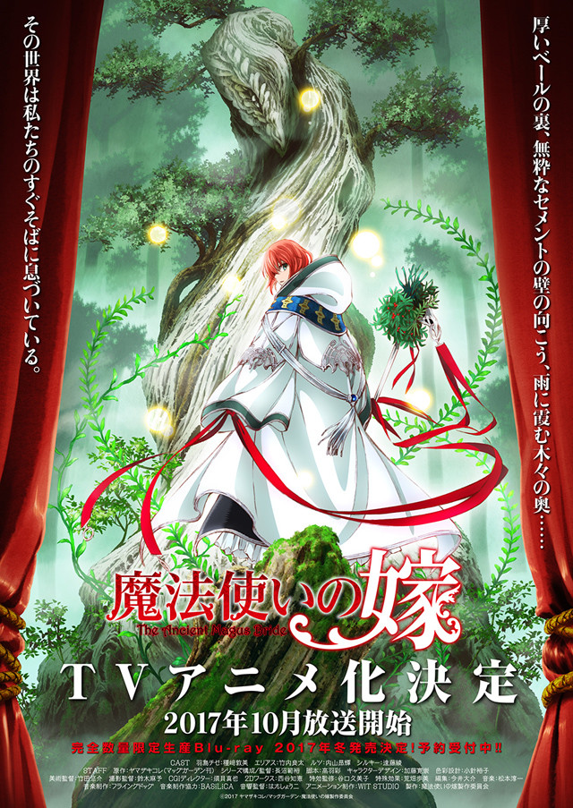 《魔法使的新娘》TV动画化！10月起分为两部分播出