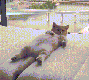  咒术最新话5T5惨遭腰斩 剧情太过离谱梗图漫天飞  资讯 第12张