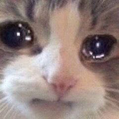  阔诺新连载哒！8月新连载漫画不完全指北第四期  资讯 第52张