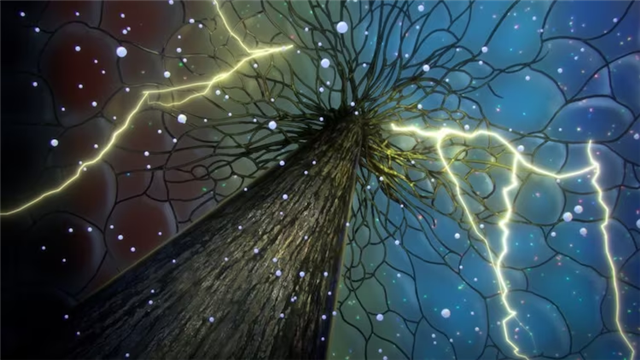  剧场版《大雪海的凯纳》公布最新预告  资讯 第5张