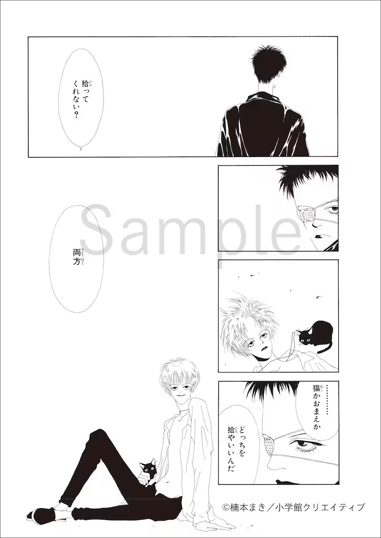  楠本まき的单行本《T.V.eye 爱藏版 ＜楠本まきコレクション＞》发售  资讯 第2张