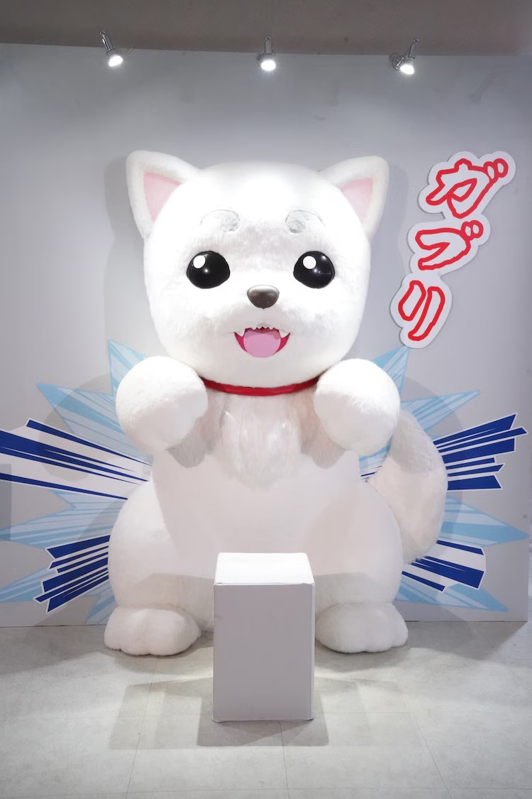  《银魂》20周年纪念展  漫展 第4张