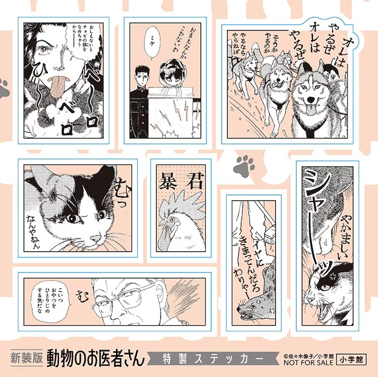 《动物医生》新装版12卷发布,抽选赠送Chobits魅力礼物。 资讯 第8张 《动物医生》新装版12卷发布,抽选赠送Chobits魅力礼物。 资讯 第8张