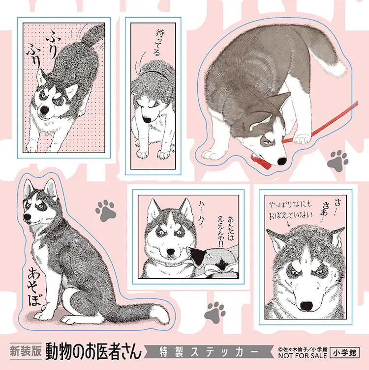 《动物医生》新装版12卷发布,抽选赠送Chobits魅力礼物。 资讯 第3张 《动物医生》新装版12卷发布,抽选赠送Chobits魅力礼物。 资讯 第3张