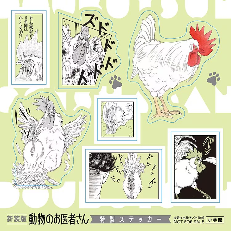 《动物医生》新装版12卷发布,抽选赠送Chobits魅力礼物。 资讯 第4张 《动物医生》新装版12卷发布,抽选赠送Chobits魅力礼物。 资讯 第4张